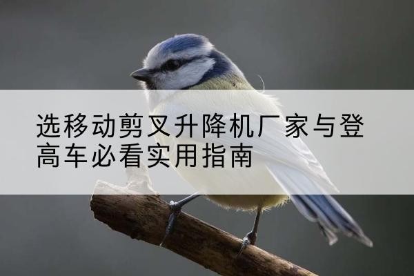 绥棱电动升降机厂家-选移动剪叉升降机厂家与登高车必看实用指南