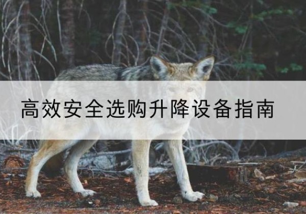 绥棱升降货梯厂家推荐-*安全选购升降设备指南