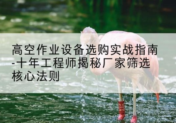 绥棱剪叉式升降机厂家-高空作业设备选购实战指南-十年工程师揭秘厂家筛选核心法则