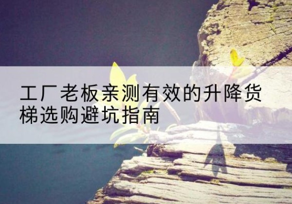 绥棱升降货梯怎么选-工厂老板亲测有效的升降货梯选购避坑指南